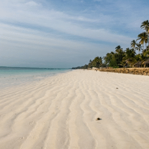 Australian Shade in the sand Natural Fragrance Oil 50ml