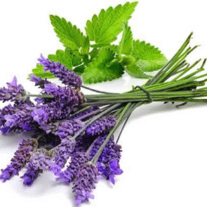 Lavender & Mint Fragrance Oil 50ml