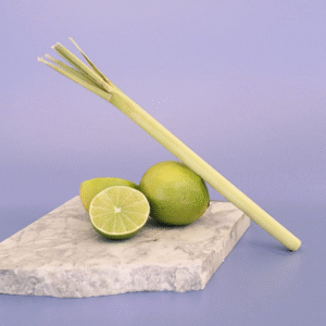 Lemongrass & Persian Lime - Fragrance Oil