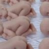 Costume Made Soap Goats Milk beautiful Baby shower & wedding & Bridal Favours Soap - Image 2
